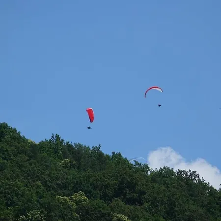 Apartment Bambi In The House At The Linden *