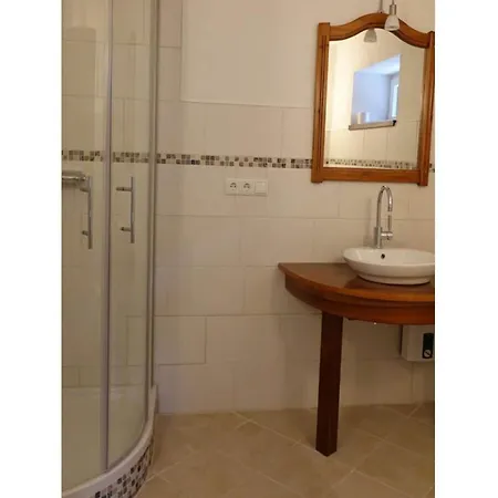 Bambi In The House At The Linden