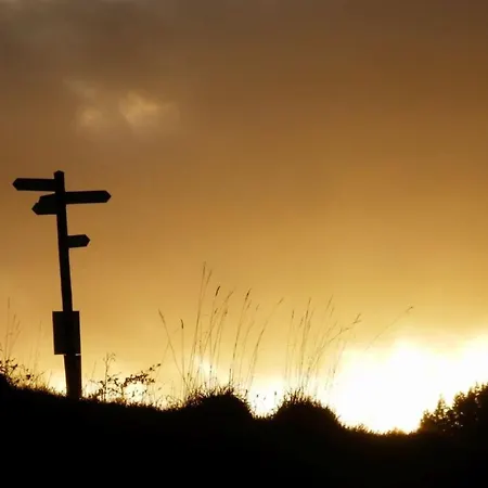 Bambi In The House At The Linden Apartment