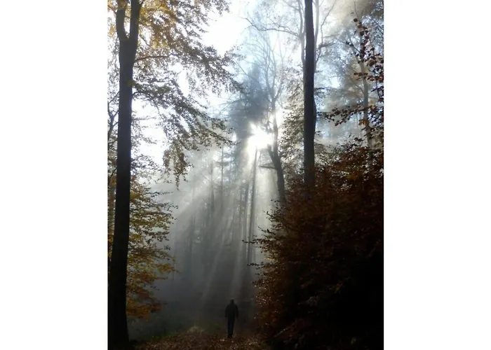 Bambi In The House At The Linden 아파트 던바크