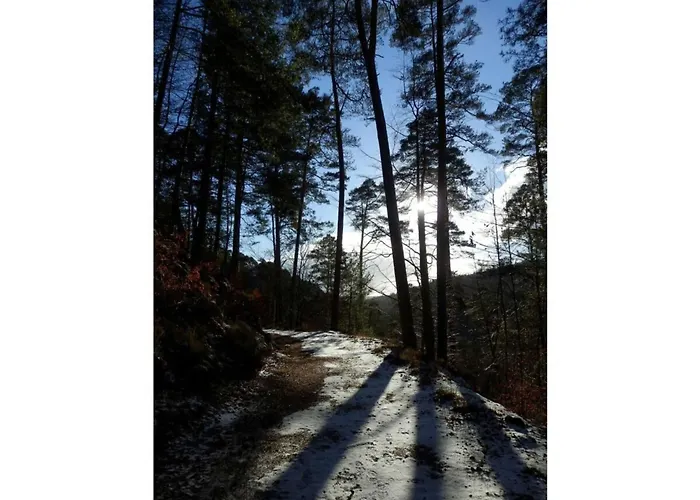 아파트 Bambi In The House At The Linden *