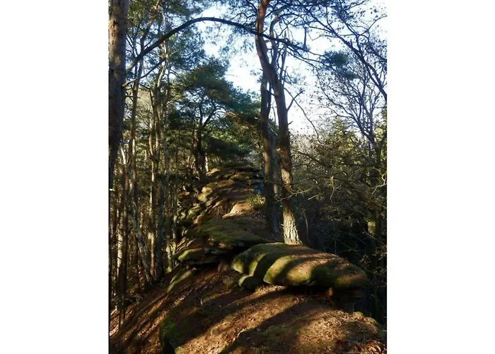 Bambi In The House At The Linden 아파트