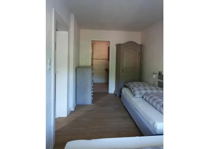 Bambi In The House At The Linden